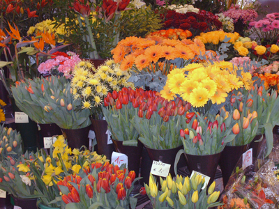 Выбор и покупка цветка в магазине