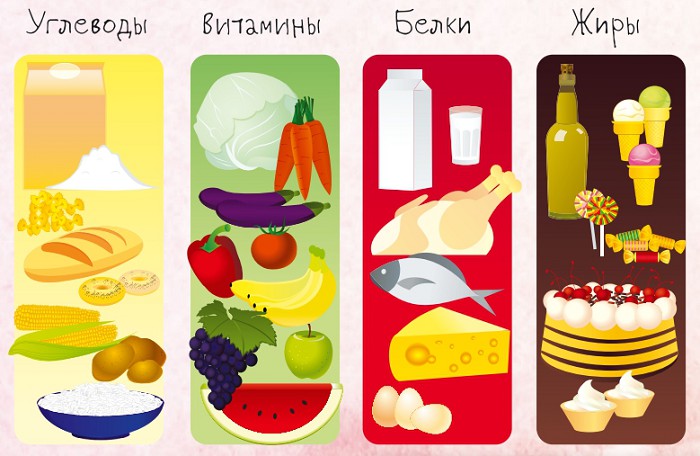 Продукты питания и питательные веществ