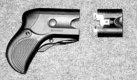 Бесствольный двухзарядный пистолет ПБ-2 «Оса-Эгида»