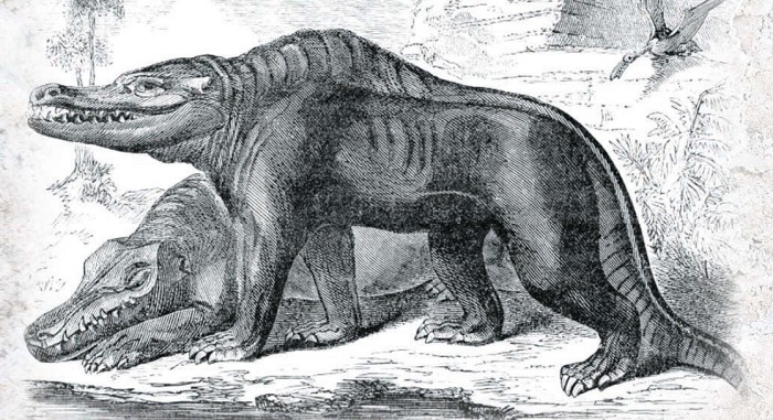Мегалозавры в представлении палеонтологов середины XIX в.