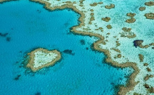 Большой Барьерный риф, вид с воздуха