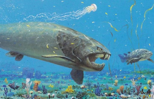 Первые панцирные рыбы