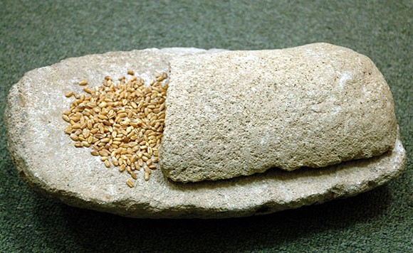 Зернотёрка. Каменный век