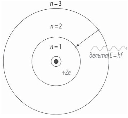 Модель водородоподобного атома, предложенная Нильсом Бором