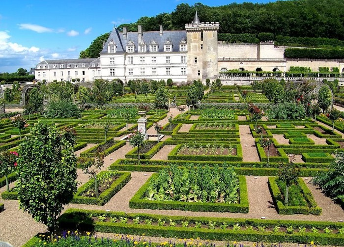 Огород в замке Вилландри. Франция.