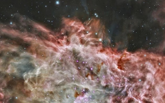 В туманности NGC 2024