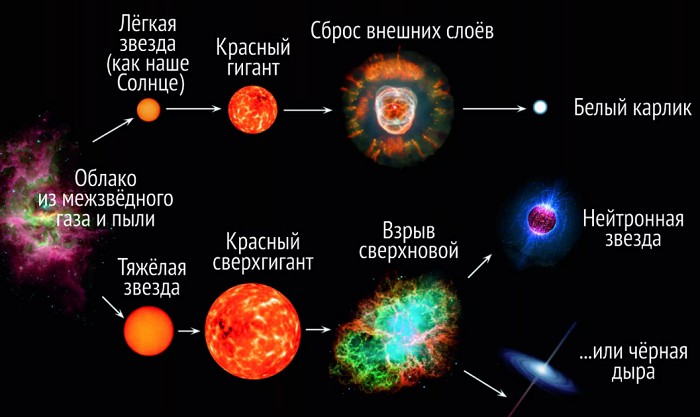 Жизненный цикл звезды