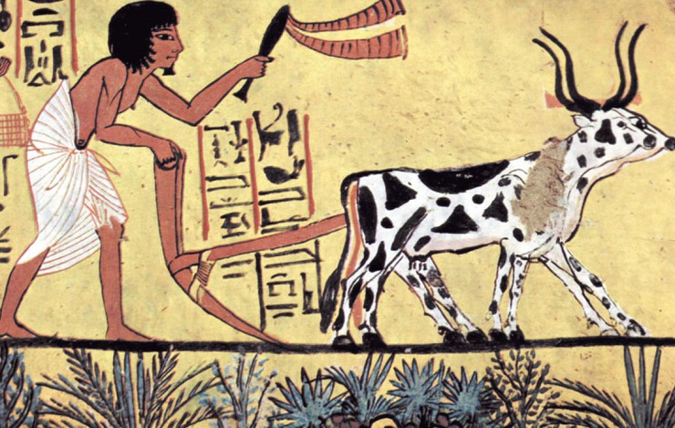 Древний плуг. Фрагмент росписи из гробницы Сеннеджема. Луксор, Египет