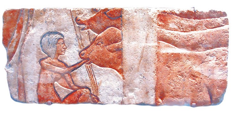 Кормление телят. Рельеф. 1352–1336 гг. до н. э. Бруклинский музей, Нью-Йорк (США)