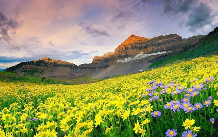 Национальный парк «Долина Цветов»