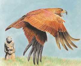 Степной орел — обитатель степей Евразии