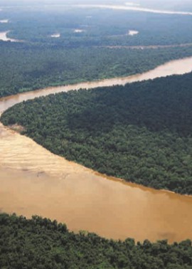 Леса Амазонии называют «легкие планеты» 