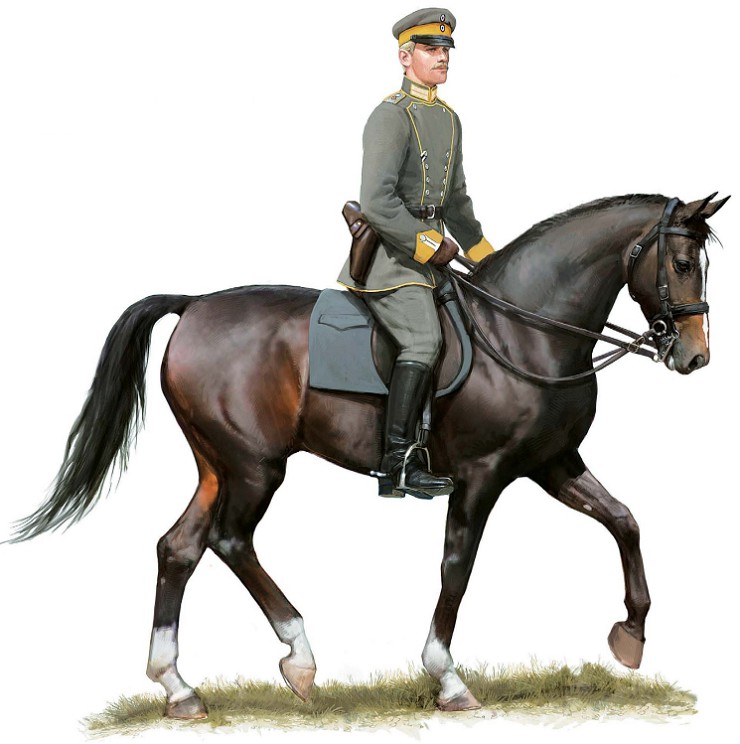 Лейтенант 3-го Гвардейского уланского полка, 1914 г.