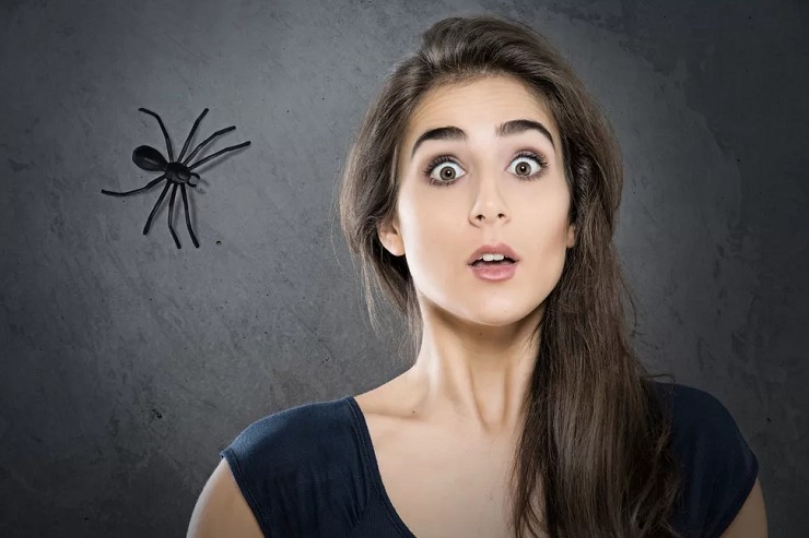 Арахнофобия — боязнь пауков