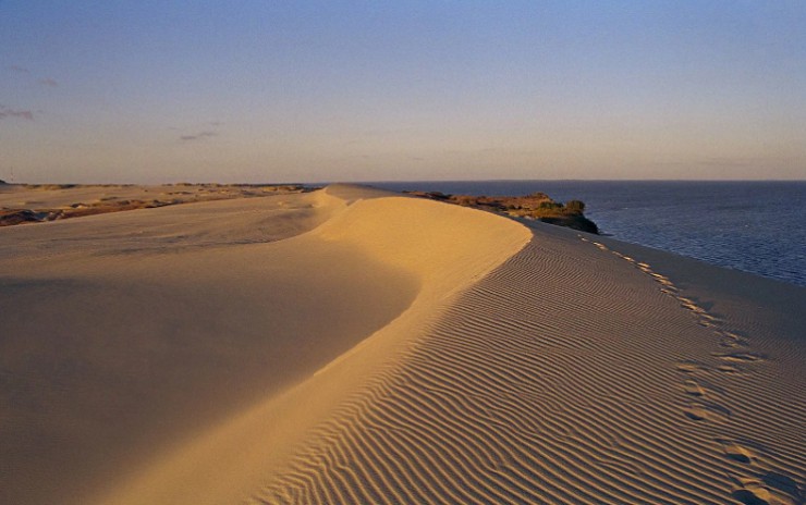 Песчаные дюны Куршской косы