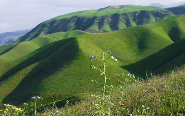 В долинах рек засушливого Туркменистана расположены зеленеющие оазисы