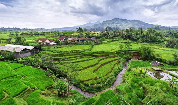 Типичный сельский пейзаж на острове Суматра