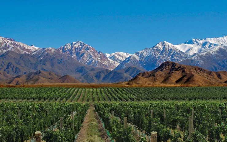 Провинция Мендоса — центр аргентинского виноделия