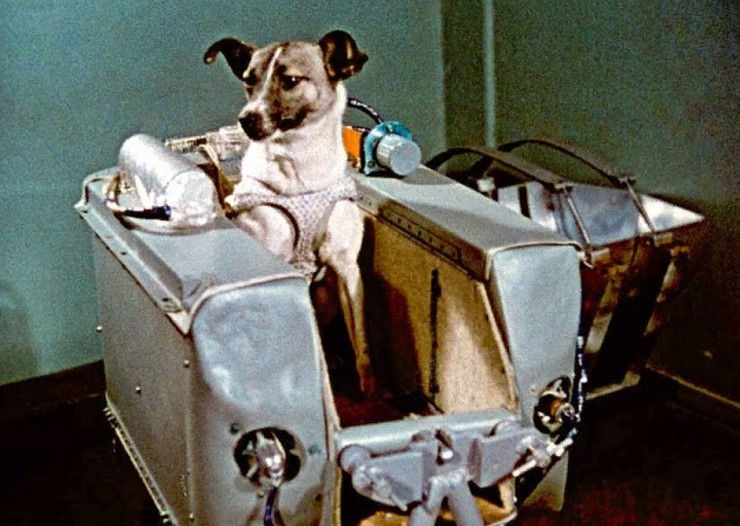 Собака Лайка в контейнере второго советского искусственного спутника Земли