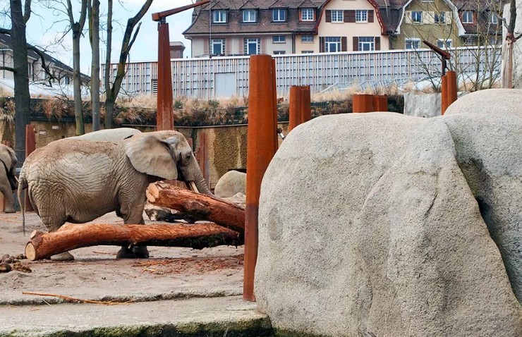 Базельский зоопарк