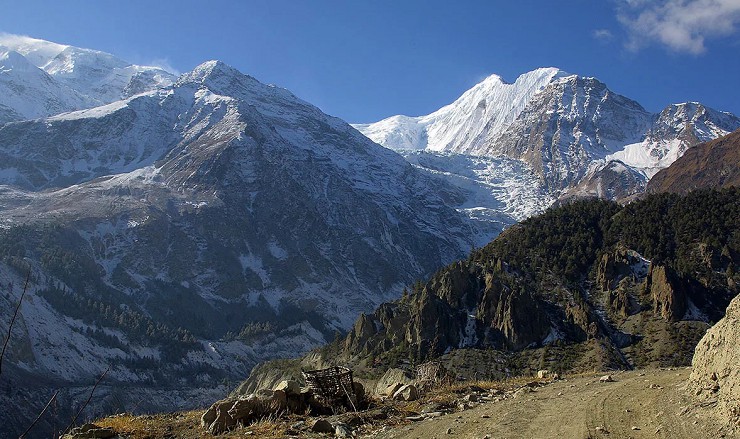 Лес на склонах Гималаев — самых высоких гор на Земле