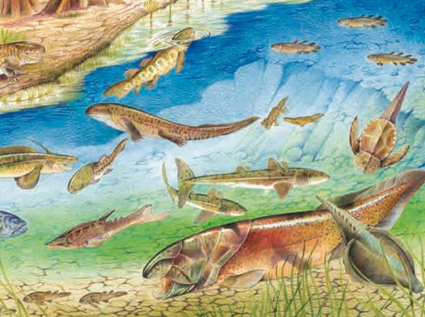 В девонский период в морях обитало множество бесчелюстных позвоночных и рыб