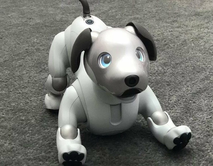 Собака-робот Aibo