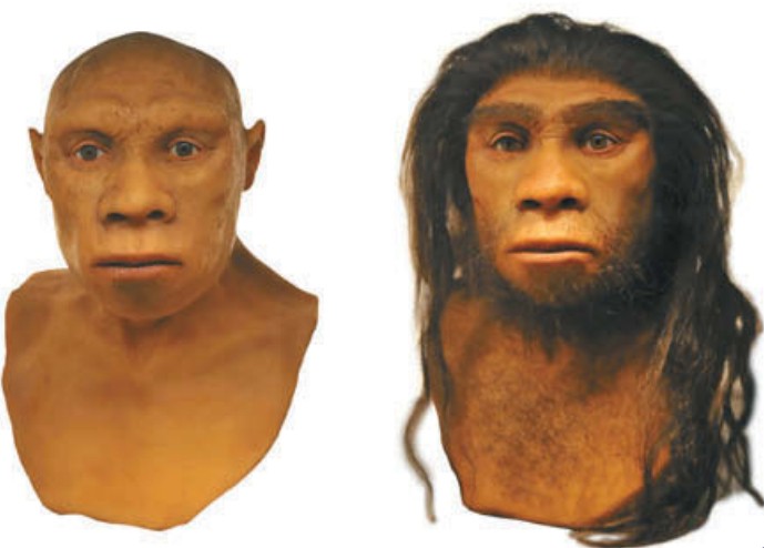 Вероятно, так выглядели неандертальцы. Реконструкция