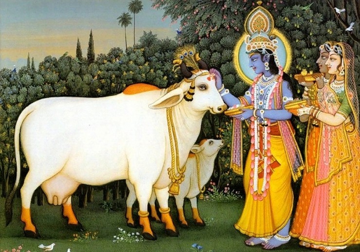 Корова — священное животное