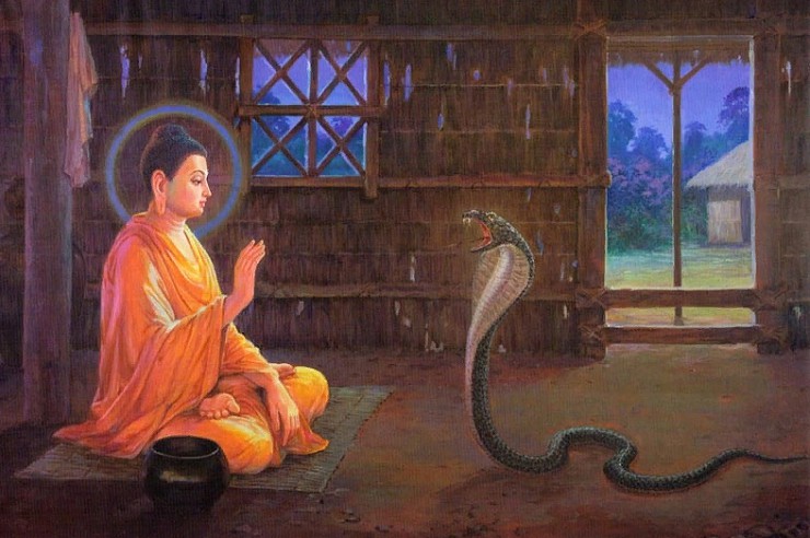 Будда и змей