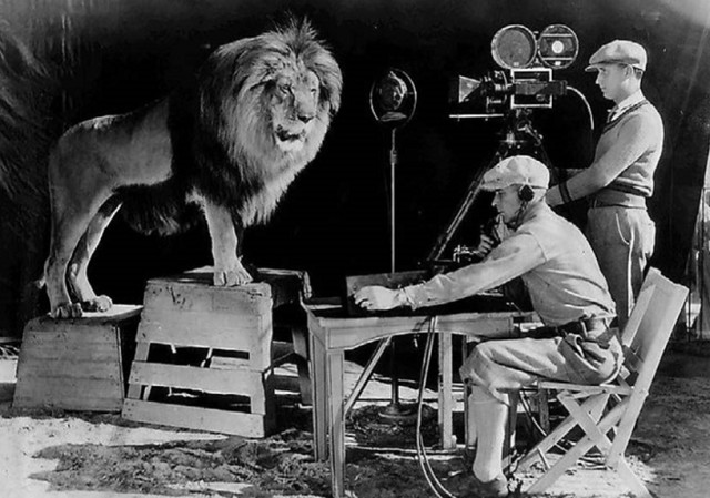 1928 год, звуковая синхронная съемка рычащего льва для заставки кинокомпании Metro-Goldwyn-Mayer