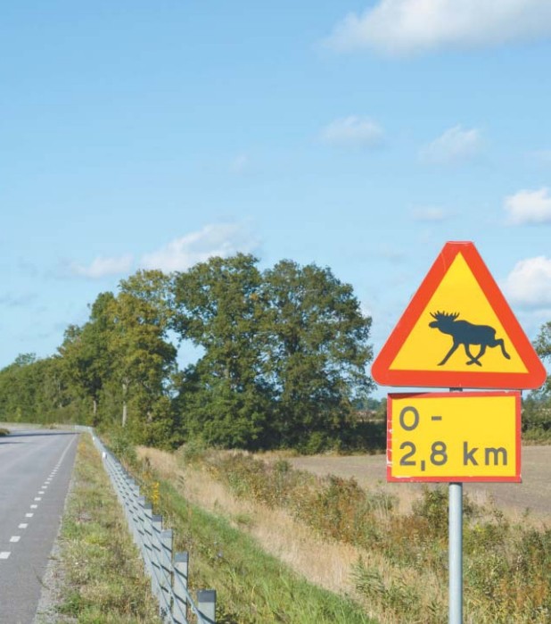 Предупреждающий дорожный знак на сельской дороге в Швеции