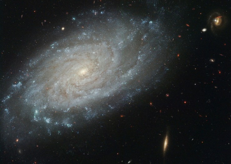 Галактика NGC 3370