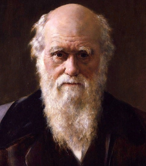 Чарльз Роберт Дарвин (1809 — 1882) 
