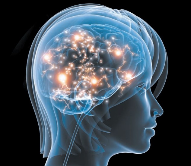 Основа работы мозга — передача электрических импульсов между нервными клетками