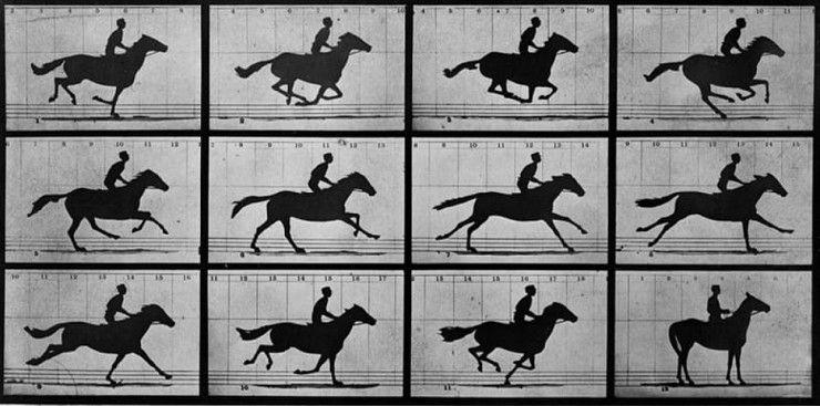 Э. Майбридж. Лошадь в движении. 1887