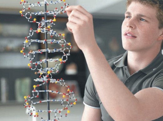 Изучение структуры ДНК
