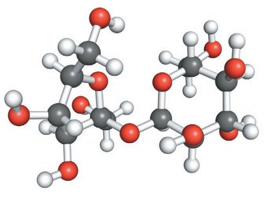 Модель молекулы сахарозы