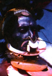 Воин-горец из Папуа-Новой Гвинеи