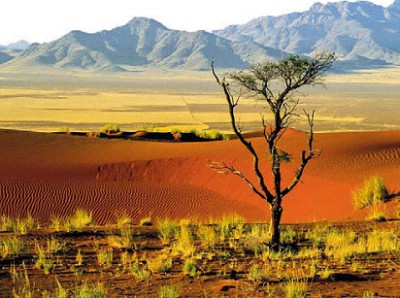 В пустыне Намиб