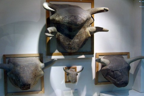 Голова быка из Чатал-Хююка в музее в Анкаре