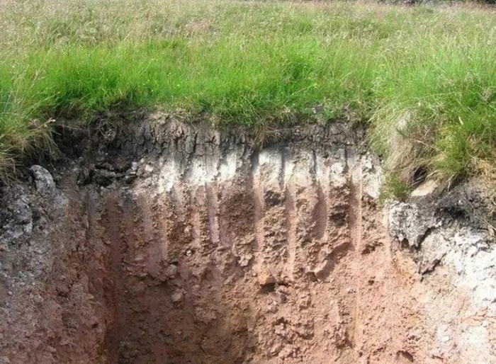 Дерново-подзолистые почвы