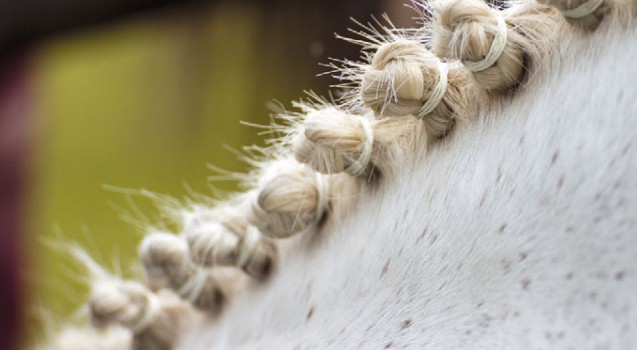 Розетки—косички у лошади