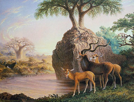 В долине Замбези. Рисунок Т. Бейнса. 1865 г.