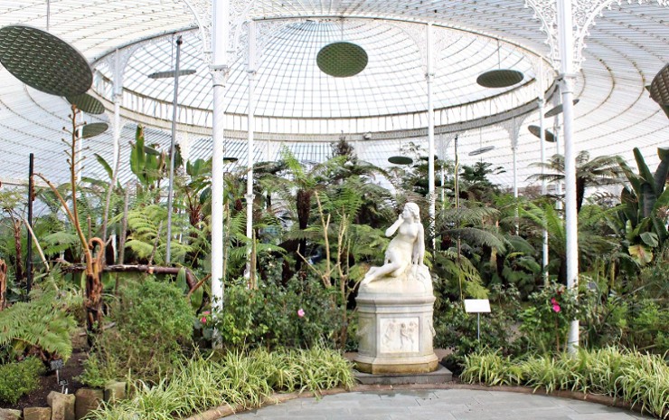 Оранжерея ботанического сада в Глазго
