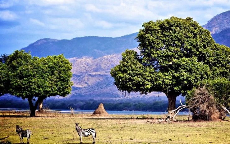 Главная гордость Замбии и Зимбабве — национальные парки