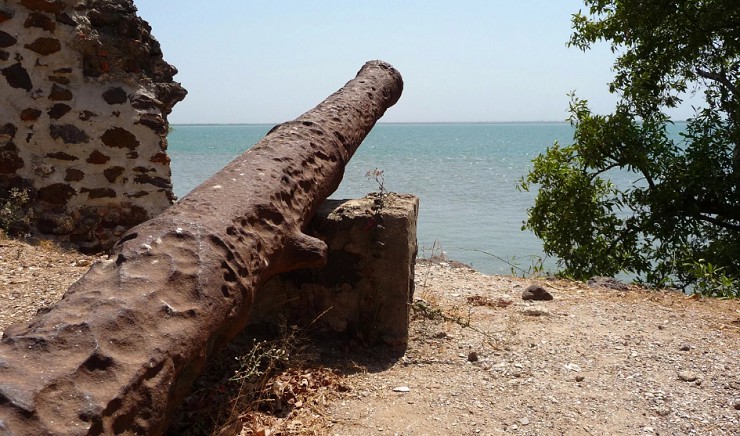 Заржавевшая пушка и баобаб на берегу острова Джеймс 