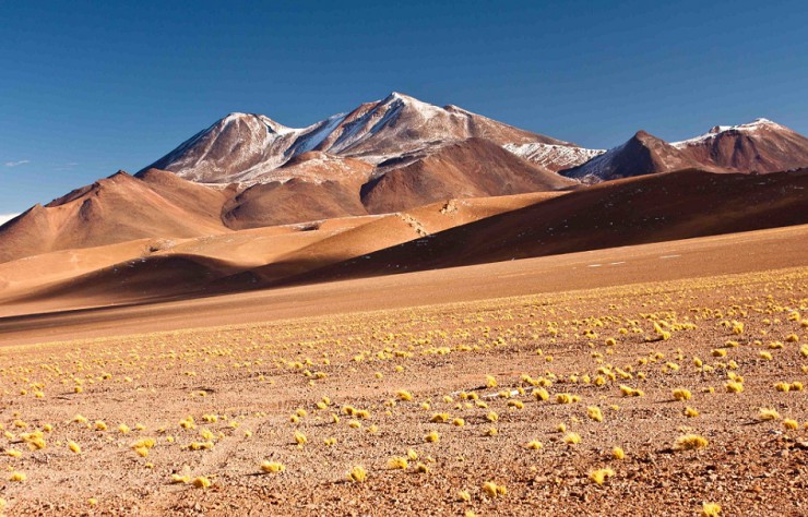 Патагонская пустыня у подножия Анд в Аргентине