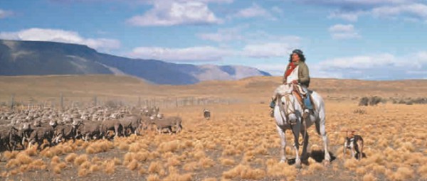 Пастухи-гаучо пасут скот на просторах пампы (Аргентина)