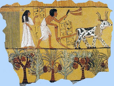 чем занимались земледельцы в египте